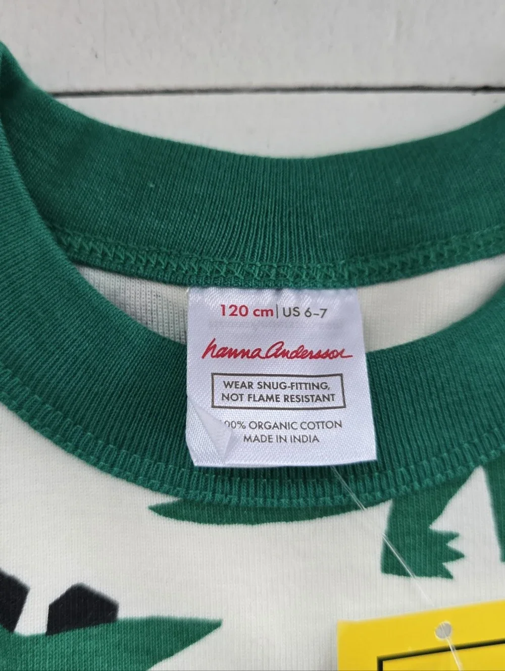 Hanna Andersson Green Trim Dinosaur Long John Pajamas